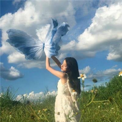 锦囊毒计